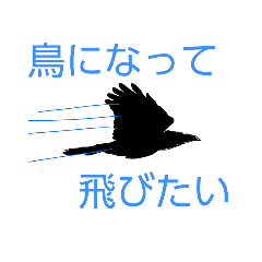 [LINEスタンプ] 鳥好きに送るカラスのスタンプ