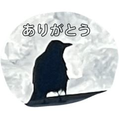 [LINEスタンプ] 北海道の冬！雪、鹿、キツネ、カラス