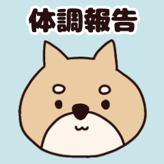 [LINEスタンプ] 柴犬シニア体調報告スタンプ