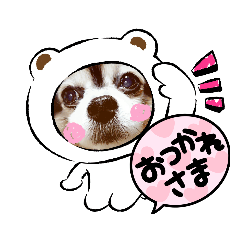 [LINEスタンプ] カワイイわんこ