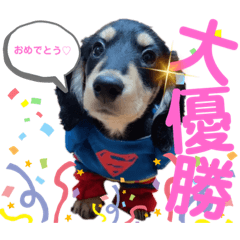 [LINEスタンプ] ポメラニアン＆ダックス♡