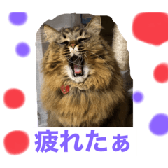 [LINEスタンプ] 小梅さん日和