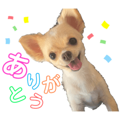 [LINEスタンプ] はにースタンプ②
