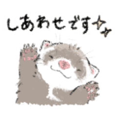 [LINEスタンプ] 可愛いフェレットたちの日常