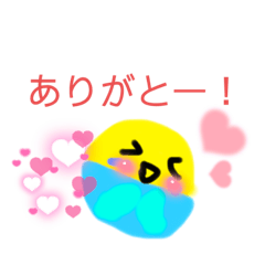 [LINEスタンプ] まんまるインコの手描きスタンプ♪