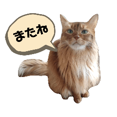 [LINEスタンプ] おトノ様のスタンプ2