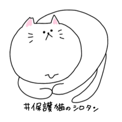 [LINEスタンプ] 保護猫のしろたん