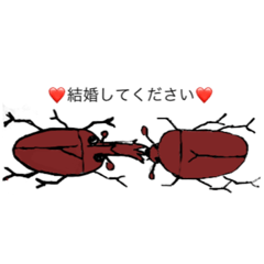 [LINEスタンプ] カブトムシたち