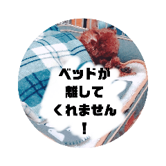 [LINEスタンプ] トイプーのローダ