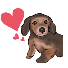 [LINEスタンプ] うちのチャチャラ