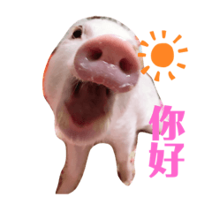[LINEスタンプ] 三隻小豬lechon