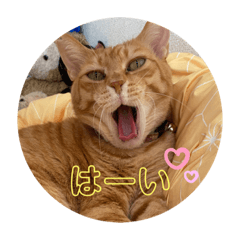 [LINEスタンプ] 茶とみとパン屋のまま
