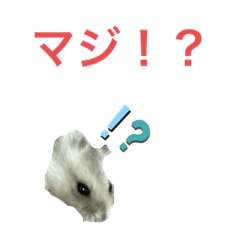 [LINEスタンプ] うちのハムスター3シリーズ