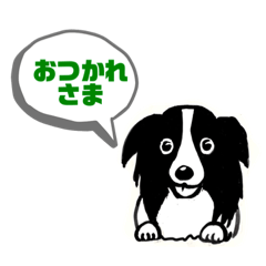 [LINEスタンプ] たれ耳ボーダーです