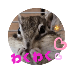 [LINEスタンプ] みんなと一緒18