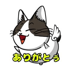 [LINEスタンプ] 日常会話でよく使う？猫スタンプ