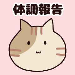 [LINEスタンプ] 猫ちゃんシニア体調報告スタンプ♡