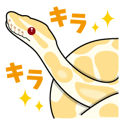 [LINEスタンプ] ボールパイソンの日常