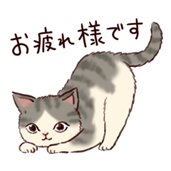 [LINEスタンプ] 敬語のネコたち
