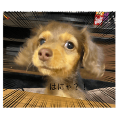 [LINEスタンプ] 大西ルル♡