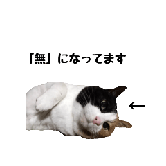 [LINEスタンプ] ケミ②