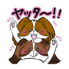 [LINEスタンプ] 【パピヨン】いぬのスタンプ