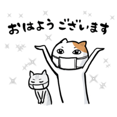 [LINEスタンプ] マスクねこダブル【敬語・挨拶】