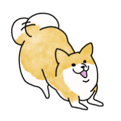 [LINEスタンプ] げんきな柴犬たち