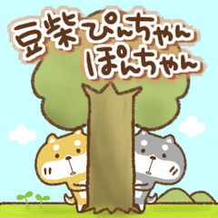 [LINEスタンプ] 豆柴ぴんちゃんとぽんちゃんの挨拶