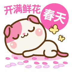 [LINEスタンプ] ❤️花いっぱいの春セット[ 台湾語Ver. ]