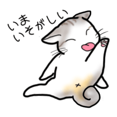 [LINEスタンプ] かぎしっぽ猫のルナ