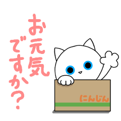 [LINEスタンプ] めめしろうの敬語スタンプ