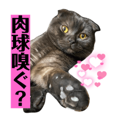 [LINEスタンプ] 黒丸と白丸のスタンプ