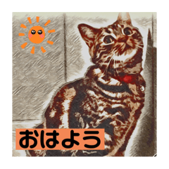 [LINEスタンプ] アメショのリン