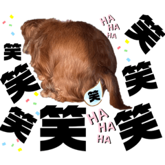 [LINEスタンプ] らぶぞぅ14