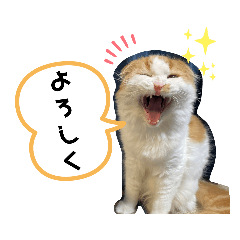 [LINEスタンプ] 小太郎の叫び