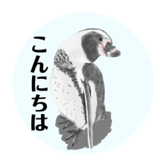 [LINEスタンプ] 神在月のペンギンスタンプ6