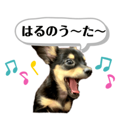 [LINEスタンプ] 春のルルンプ