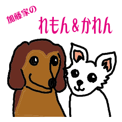 [LINEスタンプ] 加藤家のれもん＆かれん