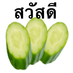 [LINEスタンプ] きゅうり です 野菜 キュウリ タイ語