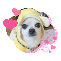 [LINEスタンプ] まめたろうと仲間たち