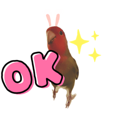 [LINEスタンプ] コザクラインコのきいちゃん02
