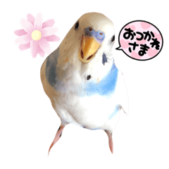 [LINEスタンプ] ぴいすけと日常会話