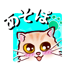 [LINEスタンプ] にゃんこ DE 挨拶 ★ えぶりでぃ