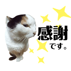 [LINEスタンプ] みぃーちゃんたち