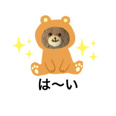 [LINEスタンプ] くまさんスタンプ222