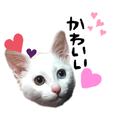 [LINEスタンプ] ♡♡My Boo♡♡