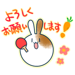 [LINEスタンプ] ピンポンうさぎちゃん