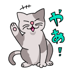 [LINEスタンプ] カラフルな猫 使いやすい手描きスタンプ