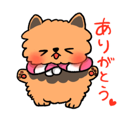 [LINEスタンプ] ポメラニアンのポメ子ちゃん